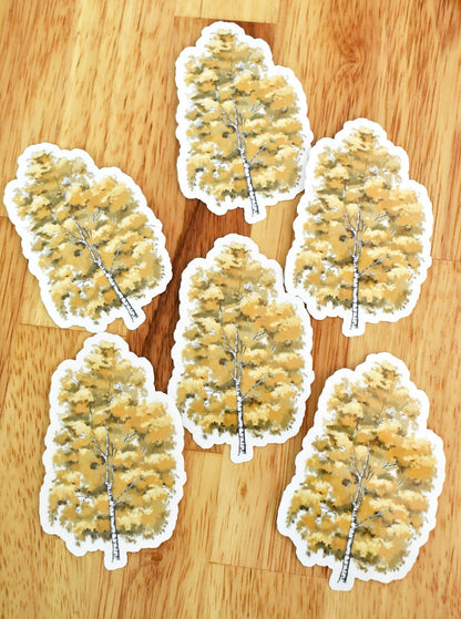 Birch tree Vinyl Sticker