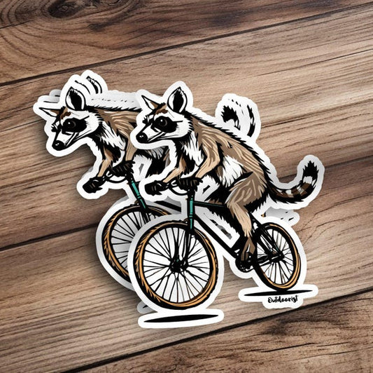 Cute Raccoon on Bicycle Sticker