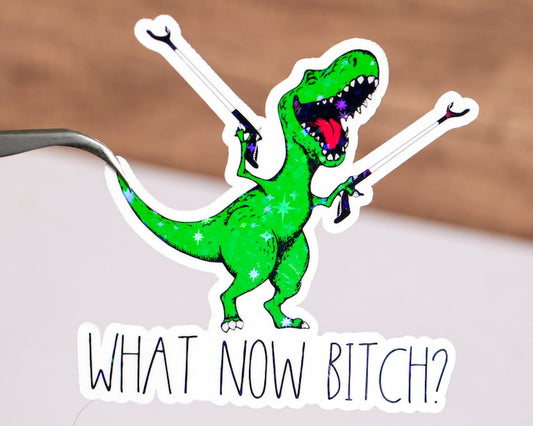 What Now Bi*ch Sticker