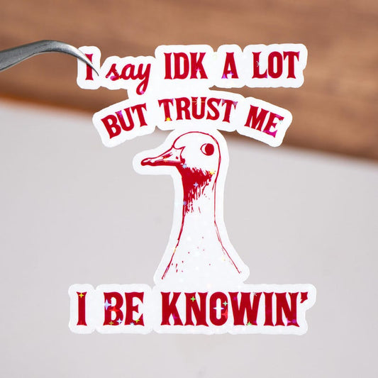 I Say IDK A Lot But Trust Me Sticker