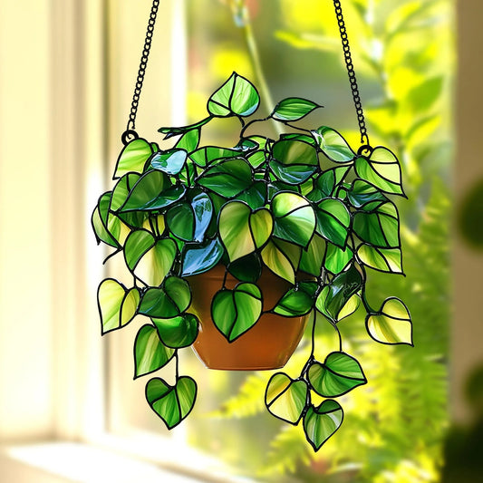 Pothos Acrylic Window, Plant Acrylic Window Hanging
