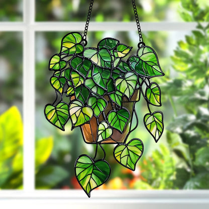 Pothos Acrylic Window, Plant Acrylic Window Hanging