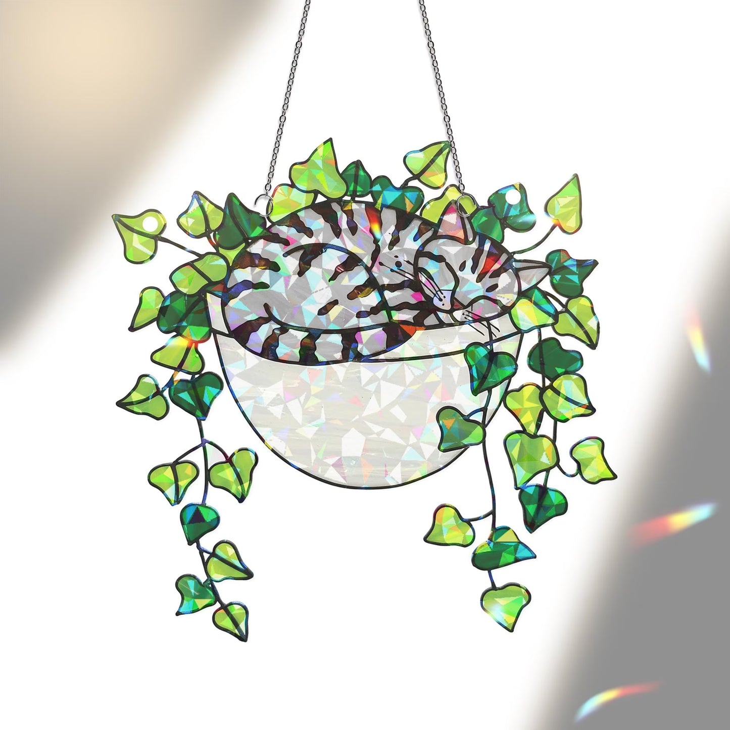 Gray Tabby Cat Sleeping on Ivy Hologram Acrylic Suncatcher
