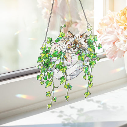 Birman Cat Sleeping on Ivy Hologram Acrylic Suncatcher