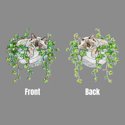 Birman Cat Sleeping on Ivy Hologram Acrylic Suncatcher