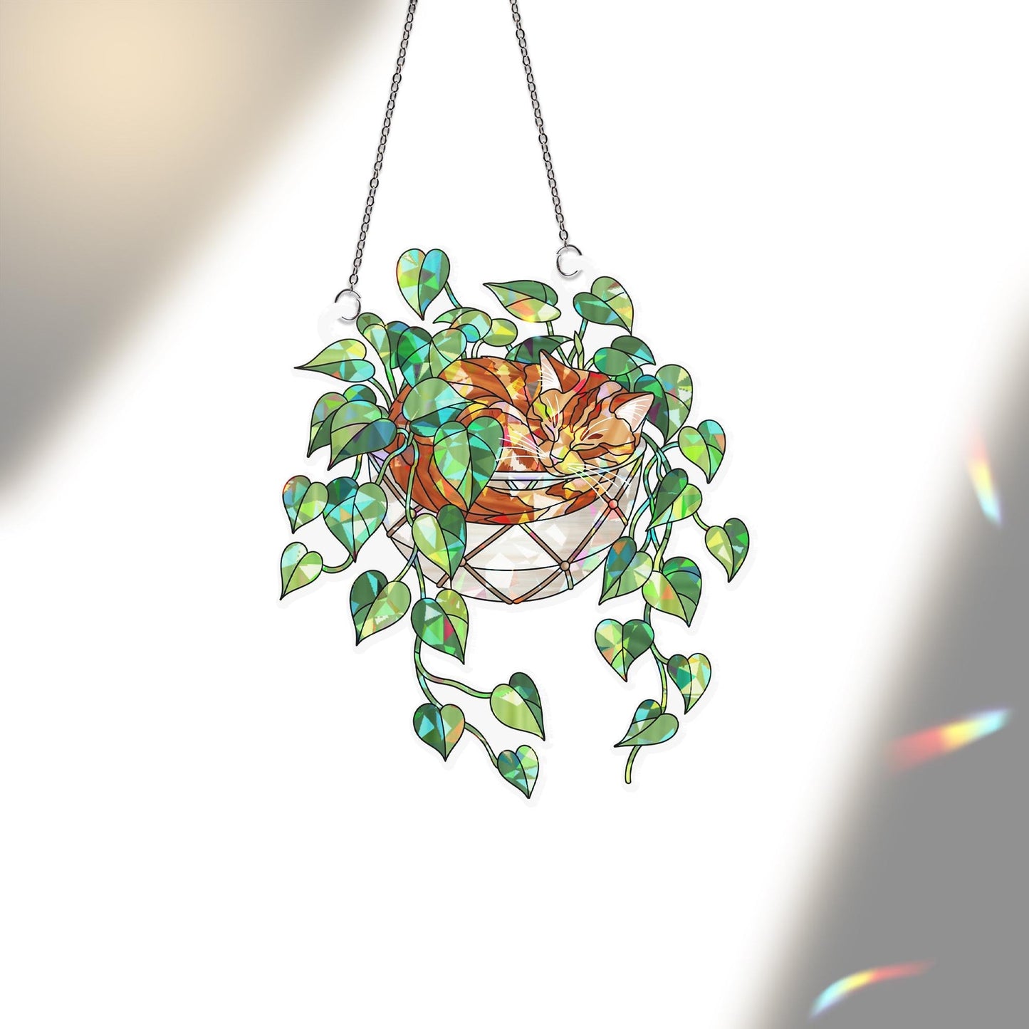 Orange Cat Sleeping on Philodendron Hologram Acrylic Suncatcher