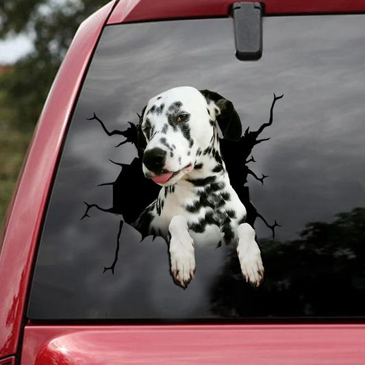 Dalmatians crack car Vinyl Decal, Dog Decal