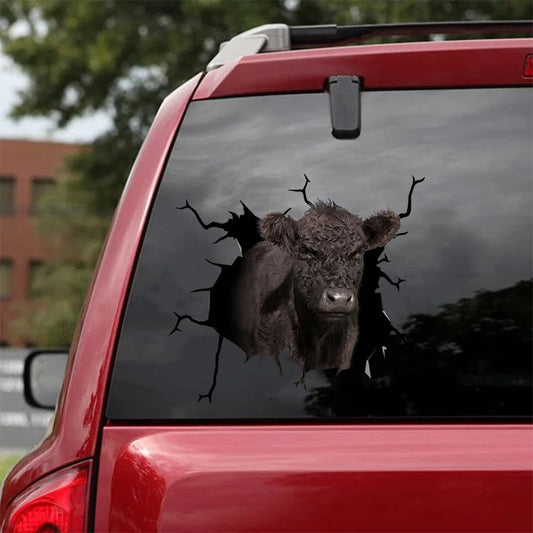 Belted galloway cow crack sticker cattle lover, Cows Decal