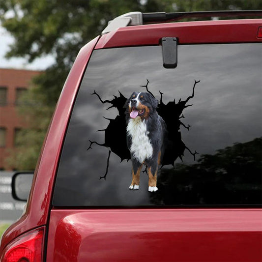 Bernese mountain dogs crack car Vinyl Decal, Dog Decal