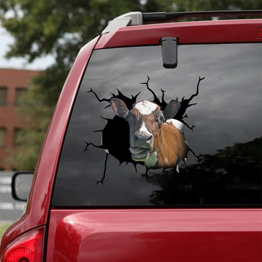 Ayrshire cow crack car sticker cattle lover, Cows Decal