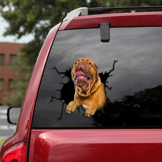 French mastiff crack car Sticker, Dog Decal