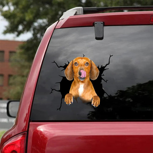 Dachshund crack car Vinyl Decal, Dog Decal