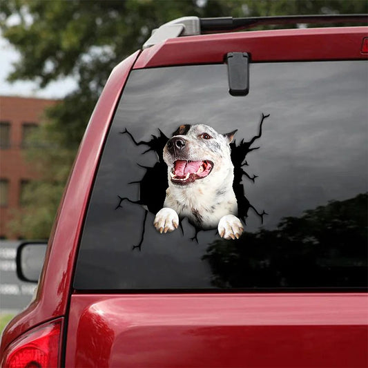 Australian cattle dog crack car Sticker, Dog Decal