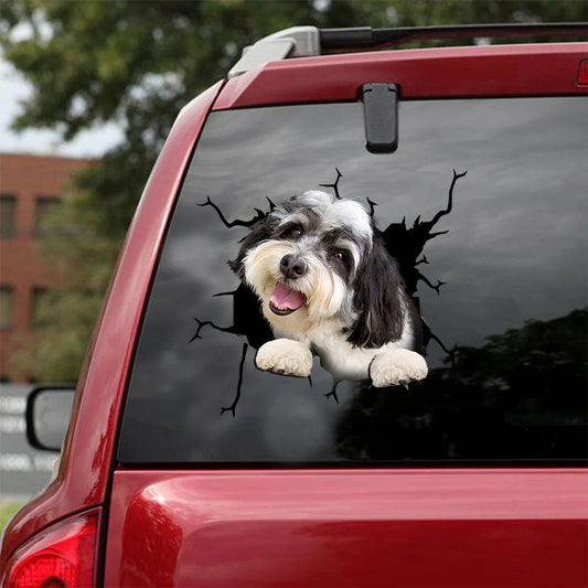 Havanese crack car Sticker, Dog Decal