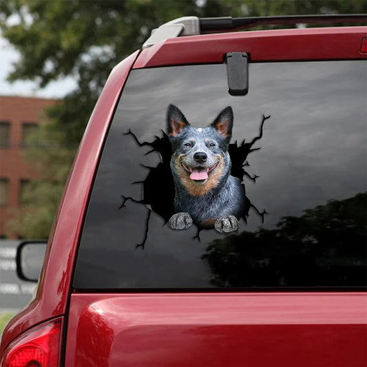 Blue heeler crack car Sticker, Dog Decal
