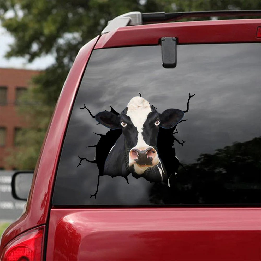 Dairy cattle crack car sticker cows lover, Cows Decal