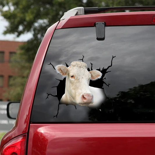 Charolais cattle crack car sticker cows lover, Cows Decal