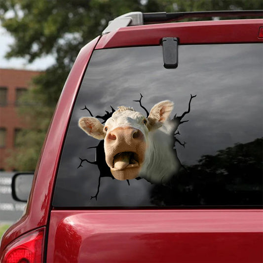Charolais cattle crack car sticker cows lover, Cows Decal