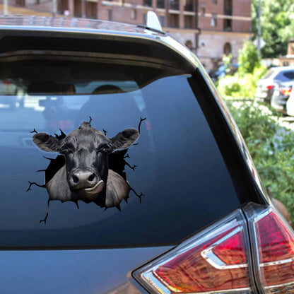Angus cattle crack car sticker cows lover, Cows Decal