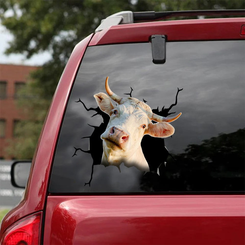 Ternera gallega cattle crack car sticker cows lover, Cows Decal