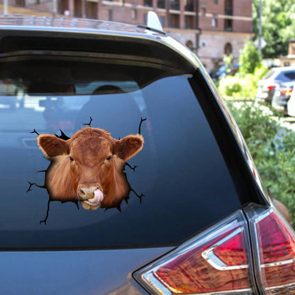 Angus cattle crack car sticker cows lover, Cows Decal