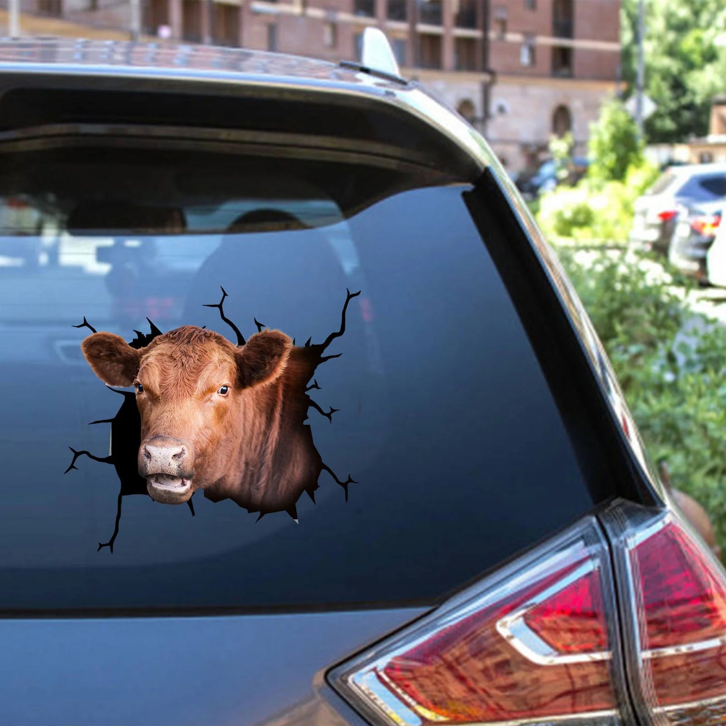 Angus cattle crack car sticker cows lover, Cows Decal