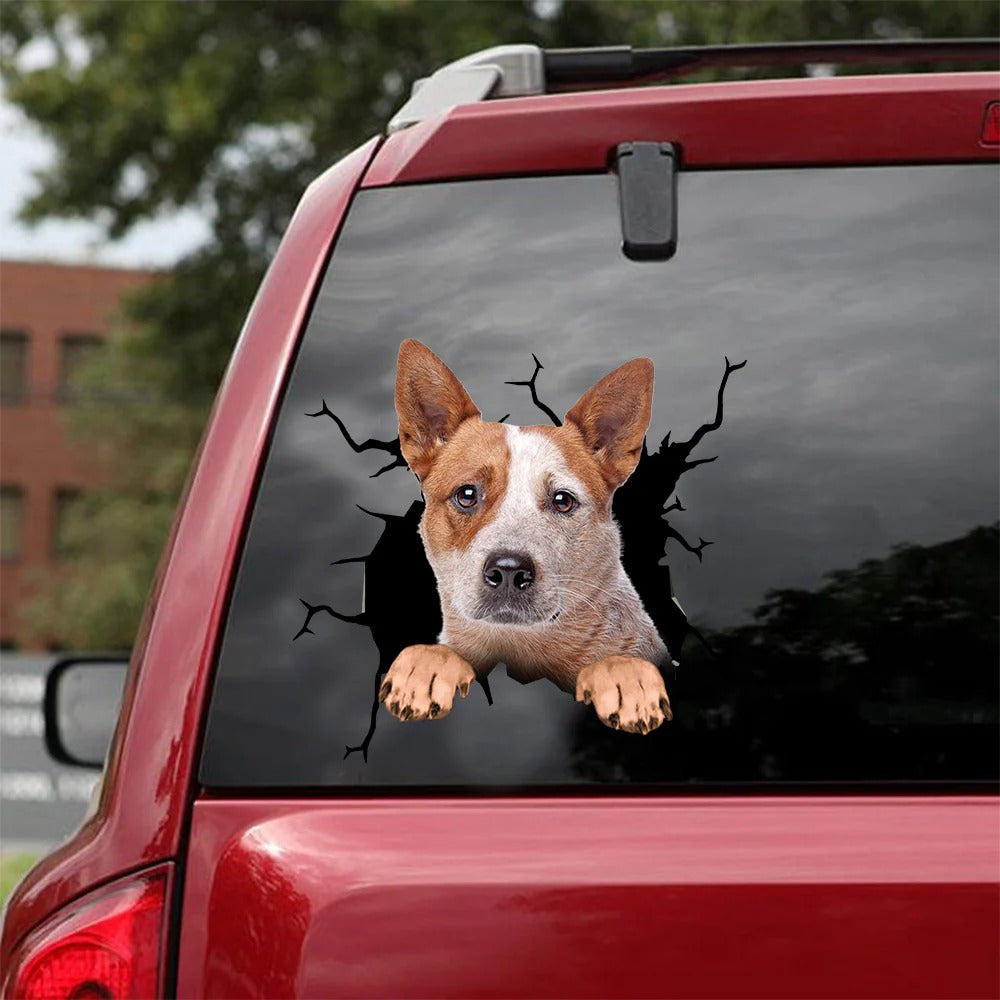 Australian cattle dog crack Sticker, Dog Decal