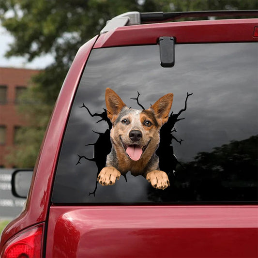 Australian cattle dog crack Sticker, Dog Decal