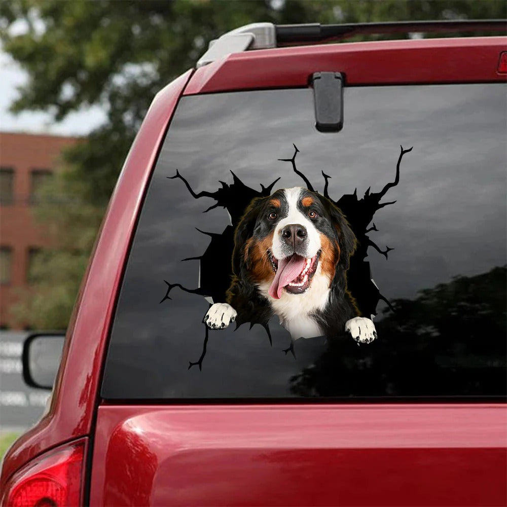 Bernese mountain crack car Sticker, Dog Decal