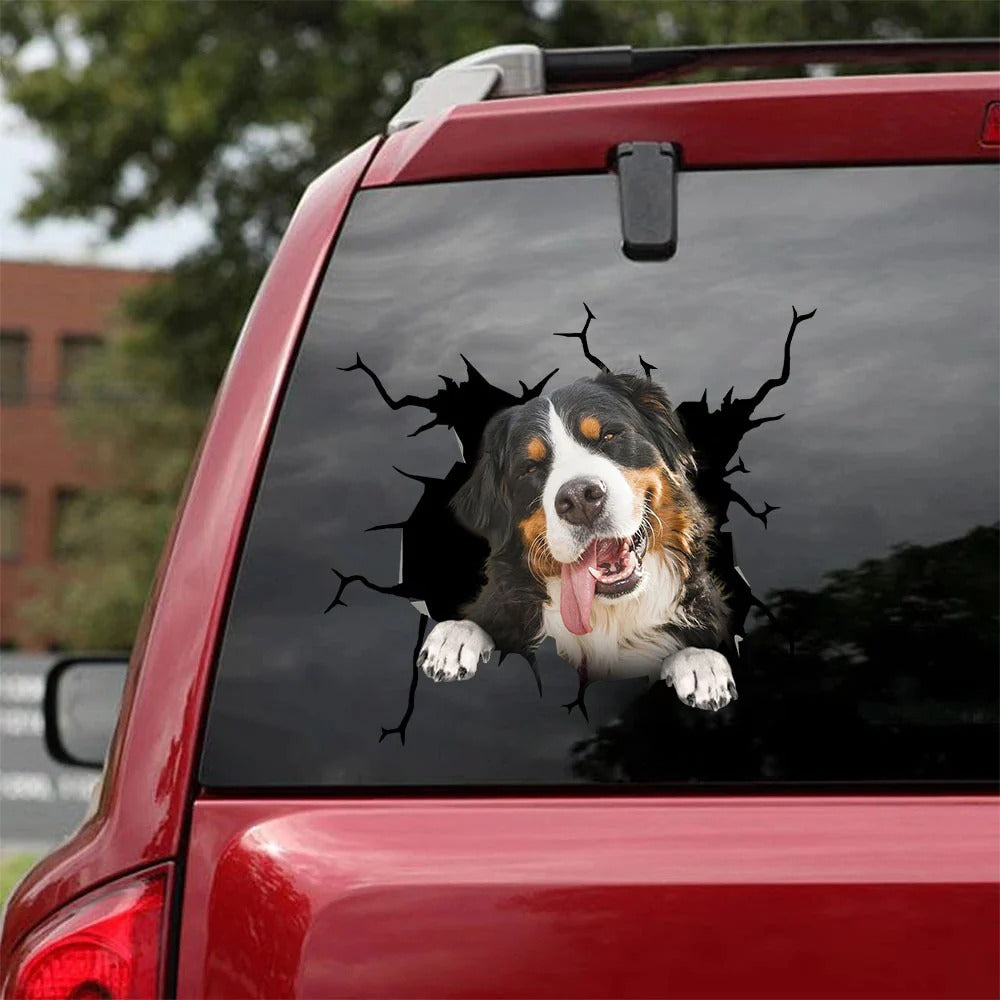 Bernese mountain crack car Sticker, Dog Decal