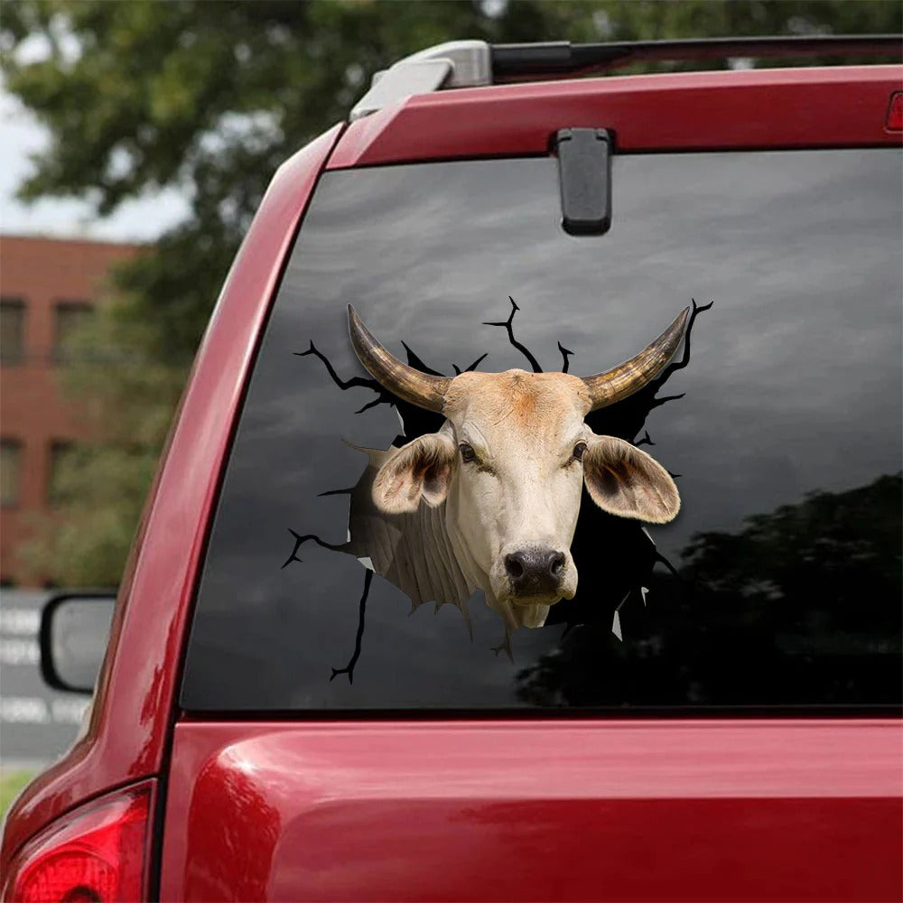 Brahman cow crack sticker cattle lover, Cows Decal