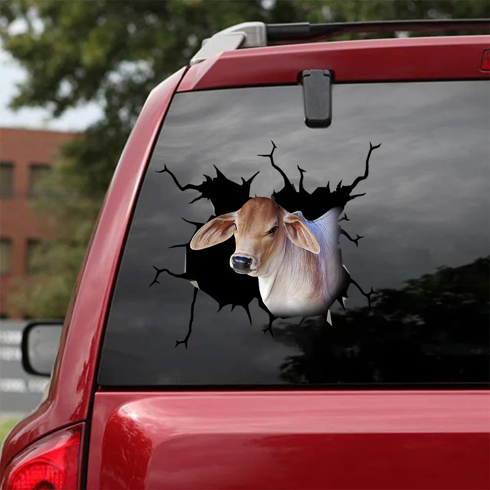 Brahman crack car sticker cattle lover, Cows Decal