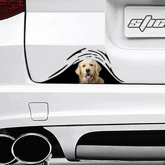 Funny Golden Dogs Bone Sticker, Dog Decal
