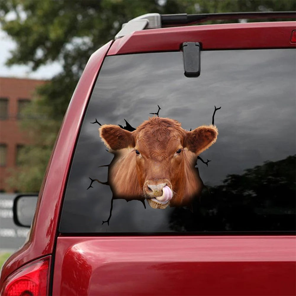 Angus cattle crack car sticker cows lover, Cows Decal