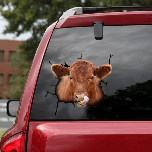 Angus cattle crack car sticker cows lover, Cows Decal