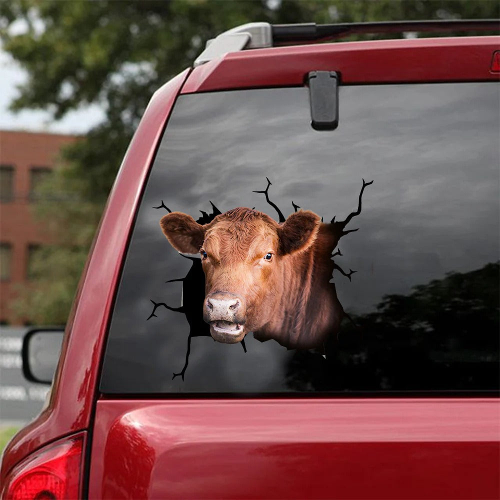 Angus cattle crack car sticker cows lover, Cows Decal