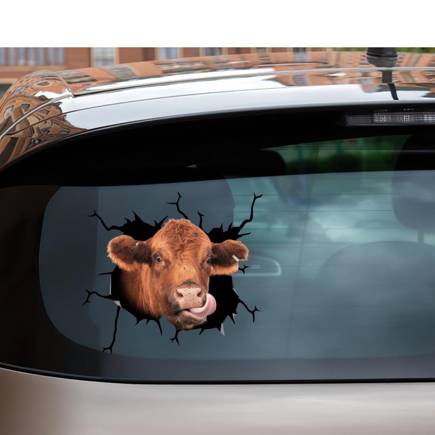 Red Angus Cow Decor Stickers Cow Wall Decal