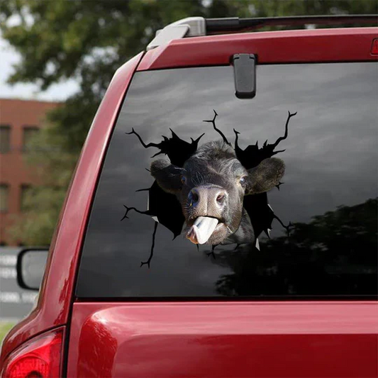 Angus Cow Crack Decals For Windows Funny Memes Custom Vinyl Decal, Cows Decal